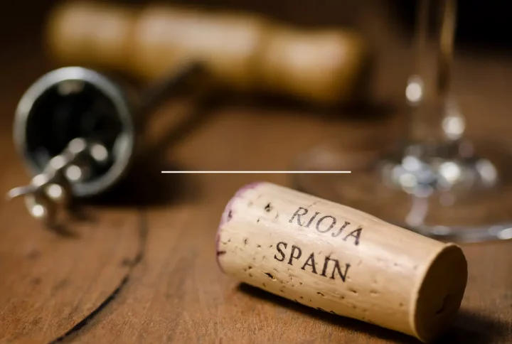 Los-Vinos-que-mejor-se-Venden-Online-en-España.webp