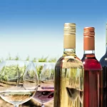 Qué es el terroir y cómo influye en el sabor del vino