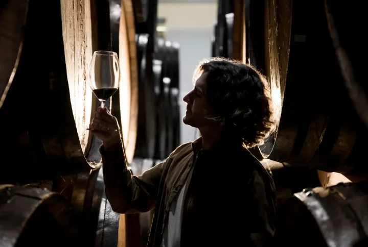 vino-de-autor-vs-vino-industrial